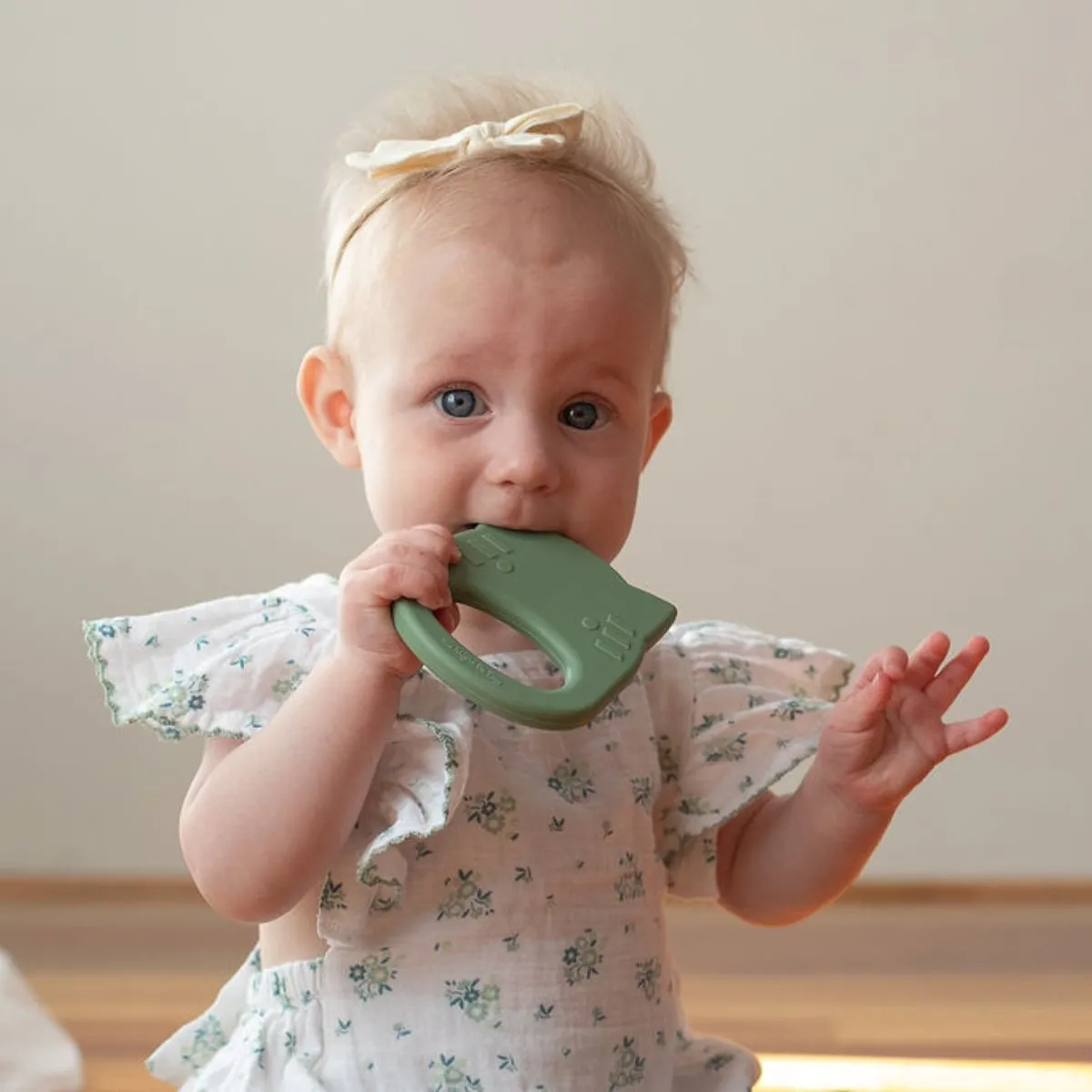 Cat Teether - Sage