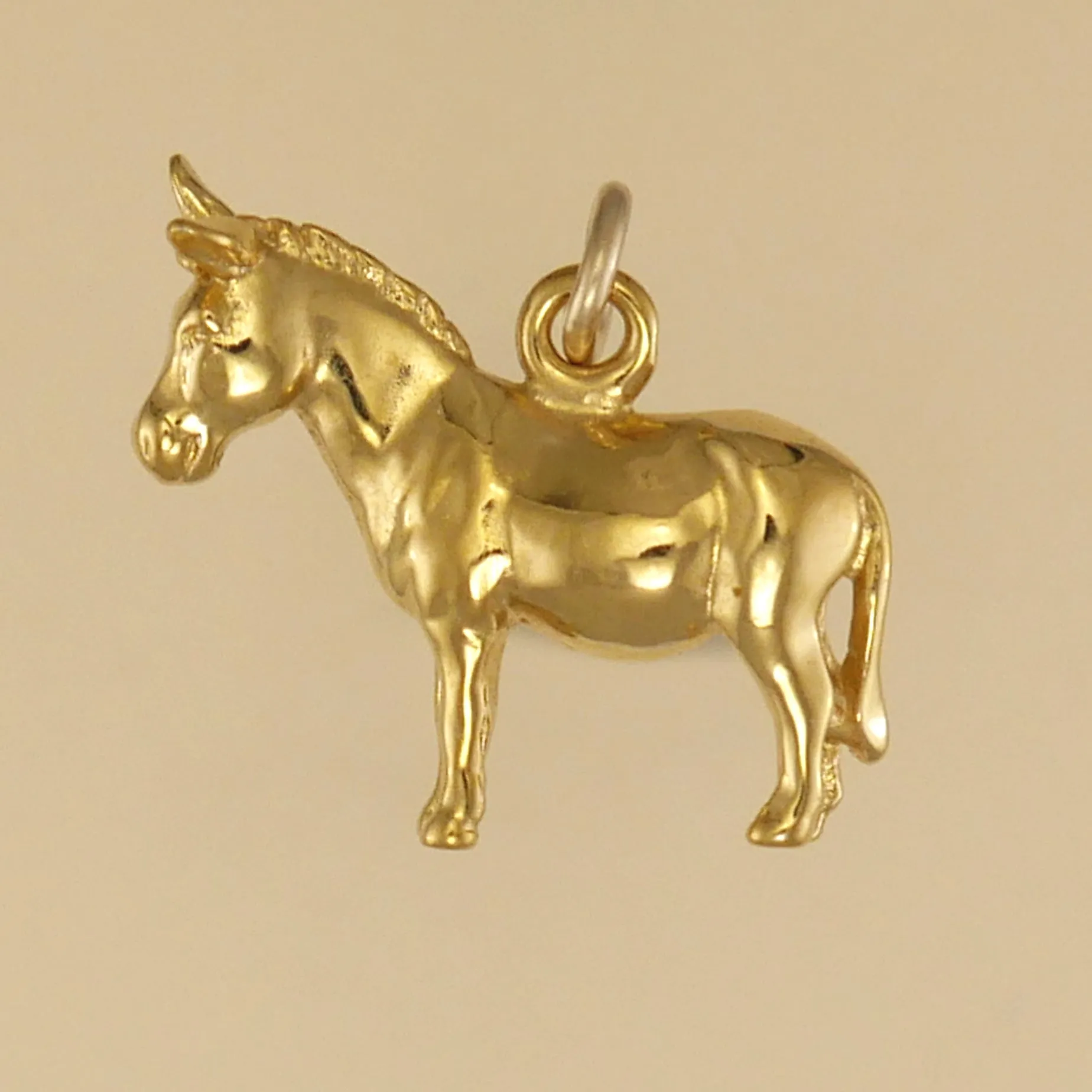 Donkey Charm