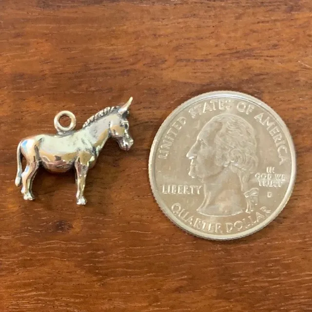 Donkey Charm